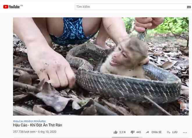 YouTuber Hậu Cáo ngược đãi động vật quý hiếm