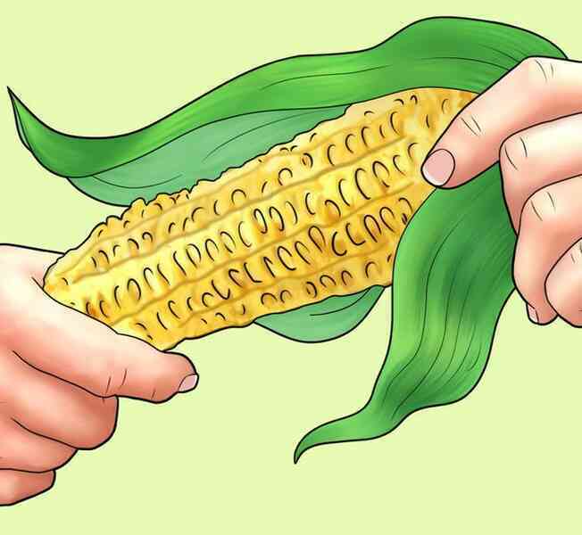 11 thứ con người từng dùng để "giải quyết hậu quả" trước khi có giấy vệ sinh, cái cuối cùng đảm bảo khiến bạn choáng toàn tập