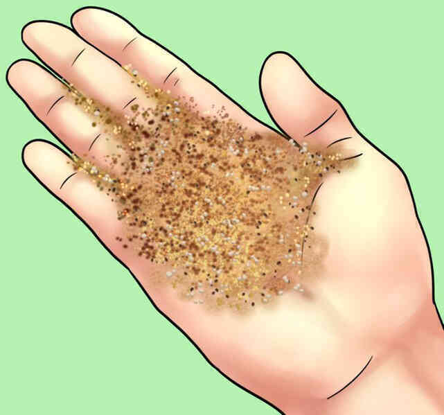 11 thứ con người từng dùng để giải quyết hậu quả trước khi có giấy vệ sinh, cái cuối cùng đảm bảo khiến bạn choáng toàn tập - Ảnh 11. 11 thứ con người từng dùng để giải quyết hậu quả trước khi có giấy vệ sinh, cái cuối cùng đảm bảo khiến bạn choáng toàn tập - Ảnh 11.