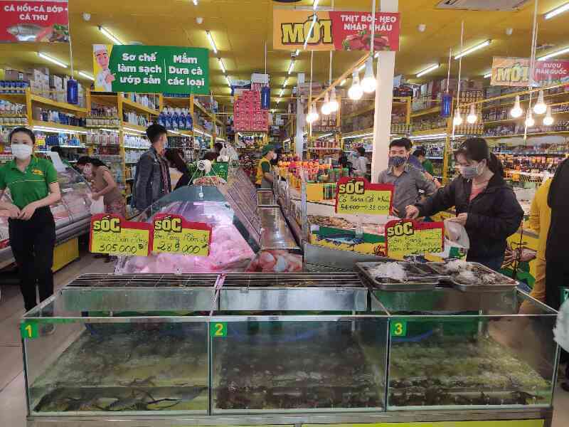 ‘Bom tấn’ Bách hoá Xanh gây chấn động chỉ sau 1 ngày khai trương shop ‘5 tỷ’ hoàn toàn mới: doanh thu ngày 800 triệu, xuất 3176 hóa đơn
