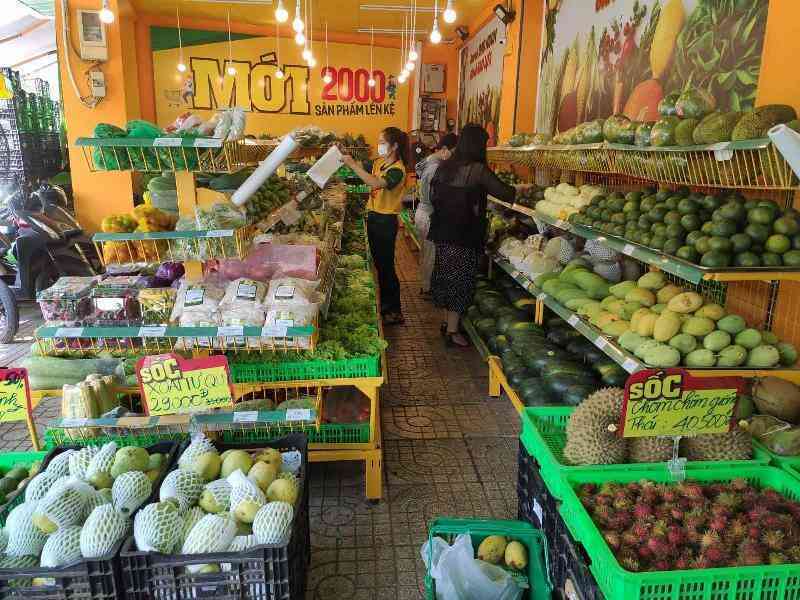 ‘Bom tấn’ Bách hoá Xanh gây chấn động chỉ sau 1 ngày khai trương shop ‘5 tỷ’ hoàn toàn mới: doanh thu ngày 800 triệu, xuất 3176 hóa đơn