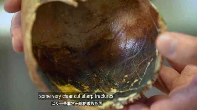 Não sôi lên, hộp sọ nổ tung, cơ bắp bốc hơi và mô bị thủy tinh hóa, khoảnh khắc bị núi lửa hủy diệt còn kinh hoàng hơn địa ngục - Ảnh 16. Não sôi lên, hộp sọ nổ tung, cơ bắp bốc hơi và mô bị thủy tinh hóa, khoảnh khắc bị núi lửa hủy diệt còn kinh hoàng hơn địa ngục - Ảnh 16.