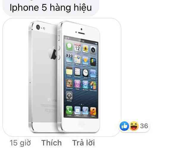 Nhiều tranh cãi về iPhone 12 tại Việt Nam