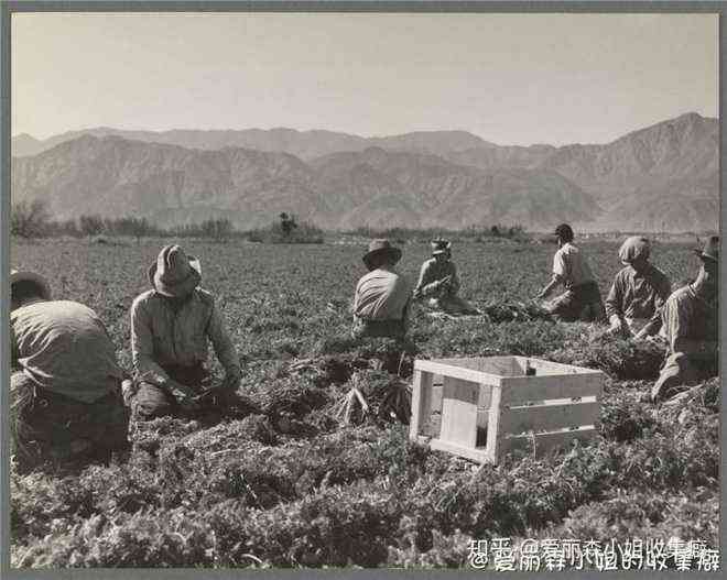 Sự kiện Dust Bowl: Cơn bão đen kéo dài 10 năm trên khắp Bắc Mỹ - Ảnh 3. Sự kiện Dust Bowl: Cơn bão đen kéo dài 10 năm trên khắp Bắc Mỹ - Ảnh 3.