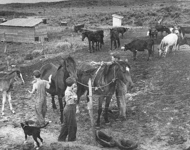 Sự kiện Dust Bowl: Cơn bão đen kéo dài 10 năm trên khắp Bắc Mỹ - Ảnh 10. Sự kiện Dust Bowl: Cơn bão đen kéo dài 10 năm trên khắp Bắc Mỹ - Ảnh 10.
