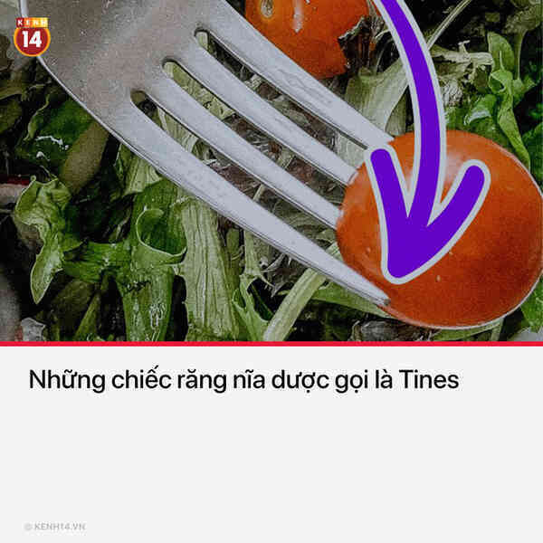 15 thứ bạn nhìn thấy hằng ngày nhưng không hề biết tên chúng là gì - Ảnh 13. 15 thứ bạn nhìn thấy hằng ngày nhưng không hề biết tên chúng là gì - Ảnh 13.