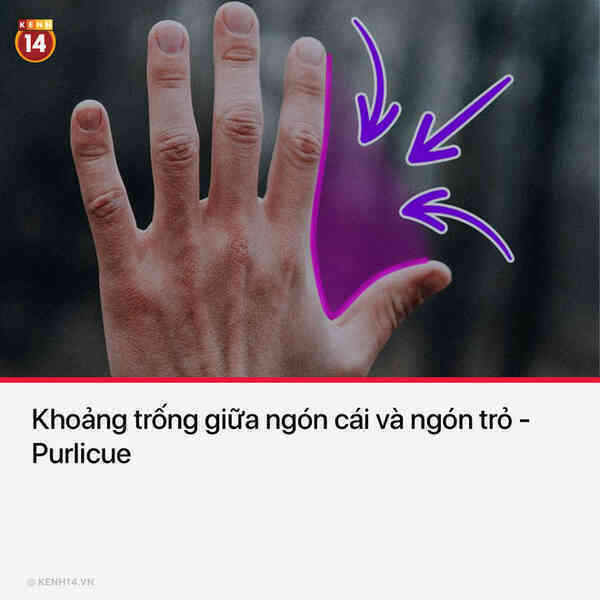 15 thứ bạn nhìn thấy hằng ngày nhưng không hề biết tên chúng là gì - Ảnh 5. 15 thứ bạn nhìn thấy hằng ngày nhưng không hề biết tên chúng là gì - Ảnh 5.