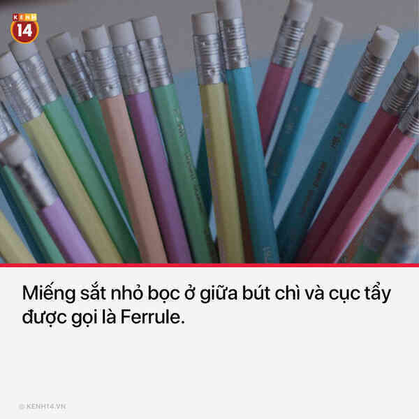 15 thứ bạn nhìn thấy hằng ngày nhưng không hề biết tên chúng là gì - Ảnh 8. 15 thứ bạn nhìn thấy hằng ngày nhưng không hề biết tên chúng là gì - Ảnh 8.
