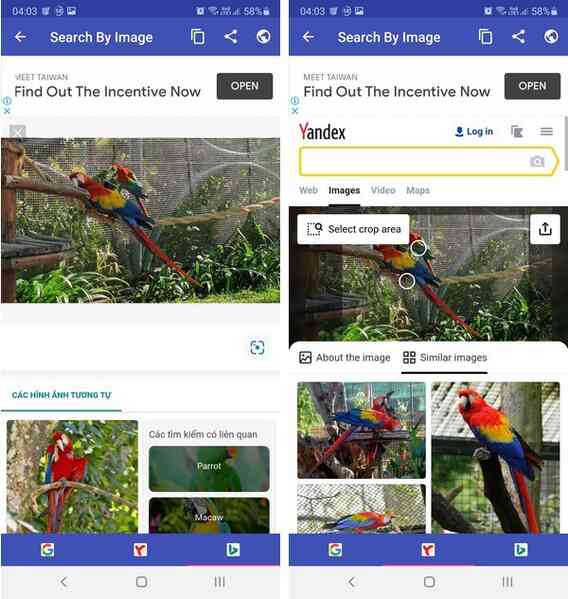 Mẹo tra cứu thông tin bằng hình ảnh dễ dàng trên smartphone - 4