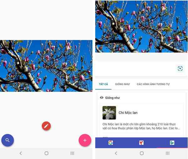 Mẹo tra cứu thông tin bằng hình ảnh dễ dàng trên smartphone - 6