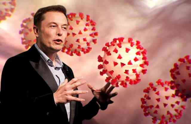 Elon Musk lọt vào danh sách theo dõi đặc biệt của Nhà Trắng về vấn đề COVID-19 - Ảnh 3. Elon Musk lọt vào danh sách theo dõi đặc biệt của Nhà Trắng về vấn đề COVID-19 - Ảnh 3.