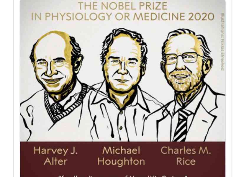 Giải Nobel Y học 2020 vừa được trao cho khám phá về virus viêm gan C đã cứu sống hàng triệu người
