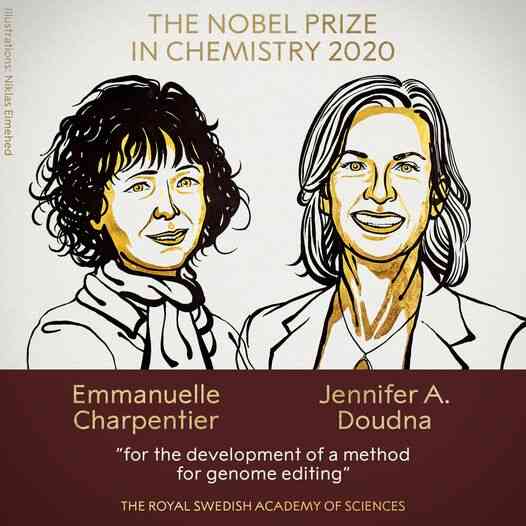Nobel Hóa học 2020 gọi tên hai nữ khoa học gia phát minh công nghệ chỉnh sửa gen CRISPR/Cas9