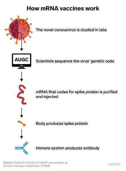 Đằng sau lý do tại sao vắc xin COVID-19 của Moderna có thể được thiết kế với thời gian kỷ lục: Chỉ 2 ngày