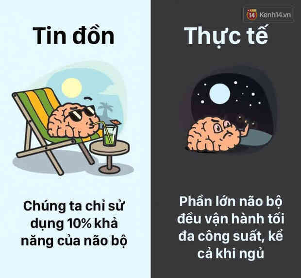 12 lầm tưởng về cơ thể chúng ta mà rất nhiều người hiểu sai, nay đã được khoa học bóc trần