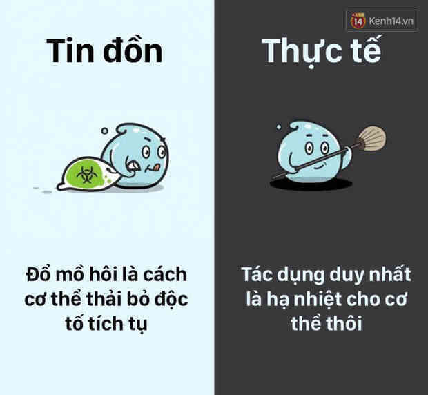 12 lầm tưởng về cơ thể chúng ta mà rất nhiều người hiểu sai, nay đã được khoa học bóc trần - Ảnh 7.