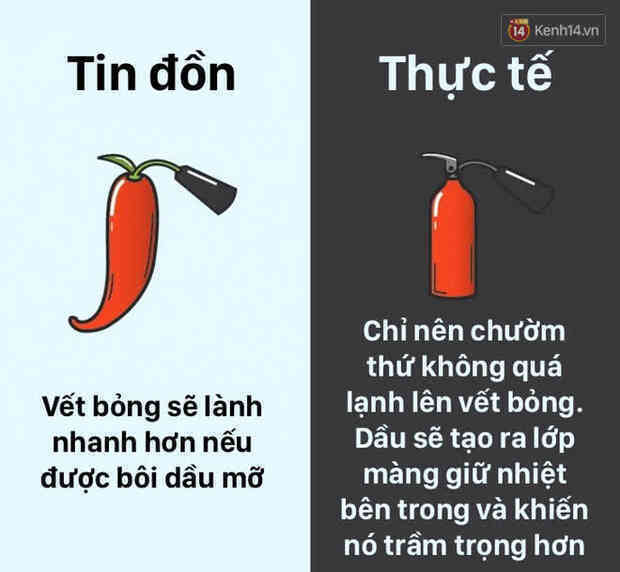 12 lầm tưởng về cơ thể chúng ta mà rất nhiều người hiểu sai, nay đã được khoa học bóc trần - Ảnh 10.