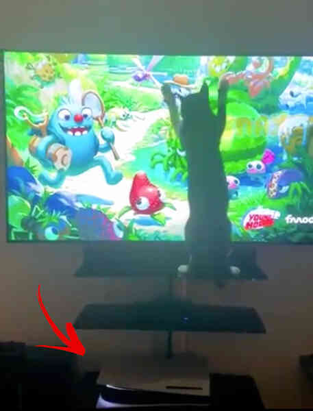 Thế kế của PS5 hại não đến nỗi ngay cả giám đốc PlayStation studios cũng đặt máy “lộn tùng phèo” hết cả - Ảnh 2. Thế kế của PS5 hại não đến nỗi ngay cả giám đốc PlayStation studios cũng đặt máy “lộn tùng phèo” hết cả - Ảnh 2.