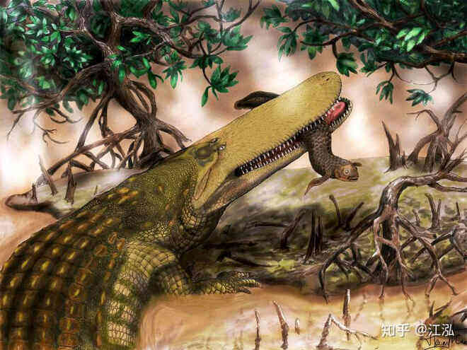 Stomatosuchus inermis: Loài cá sấu cổ đại có thể nuốt chửng cả thế giới - Ảnh 7.