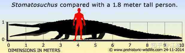 Stomatosuchus inermis: Loài cá sấu cổ đại có thể nuốt chửng cả thế giới - Ảnh 9.