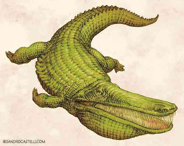 Stomatosuchus inermis: Loài cá sấu cổ đại có thể nuốt chửng cả thế giới - Ảnh 10.