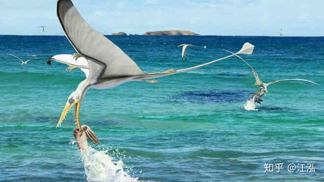 Rhamphorhynchus: Loài thằn lằn bay tí hon sở hữu hàm răng của tử thần - Ảnh 14. Rhamphorhynchus: Loài thằn lằn bay tí hon sở hữu hàm răng của tử thần - Ảnh 14.