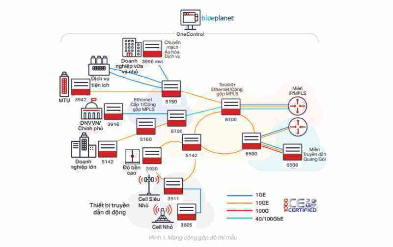 Thời đại Siêu băng thông: Cộng gộp và chuyển mạch Ethernet đối với các nhà mạng