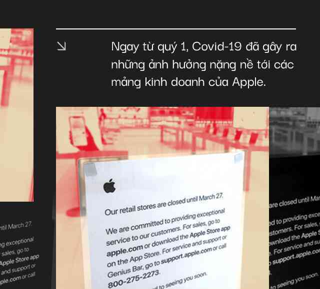 Những bước đi thiên tài của Tim Cook đã giúp Apple sống tốt và thậm chí là hùng mạnh hơn trong mùa dịch - Ảnh 2. Những bước đi thiên tài của Tim Cook đã giúp Apple sống tốt và thậm chí là hùng mạnh hơn trong mùa dịch - Ảnh 2.