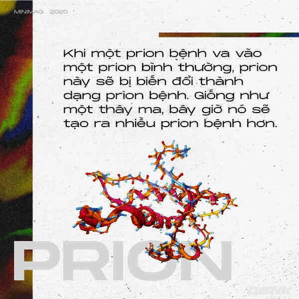 Những cái chết thầm lặng vì nhiễm prion: Phân tử thây ma âm thầm biến não bộ thành bọt biển - Ảnh 3.