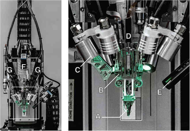 Neuralink và tham vọng cộng sinh với trí tuệ nhân tạo của Elon Musk - Ảnh 10. Neuralink và tham vọng cộng sinh với trí tuệ nhân tạo của Elon Musk - Ảnh 10.