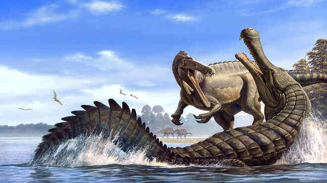 Cá sấu khổng lồ thời tiền sử sống ở Châu Phi có thể nuốt chửng khủng long - Ảnh 1.