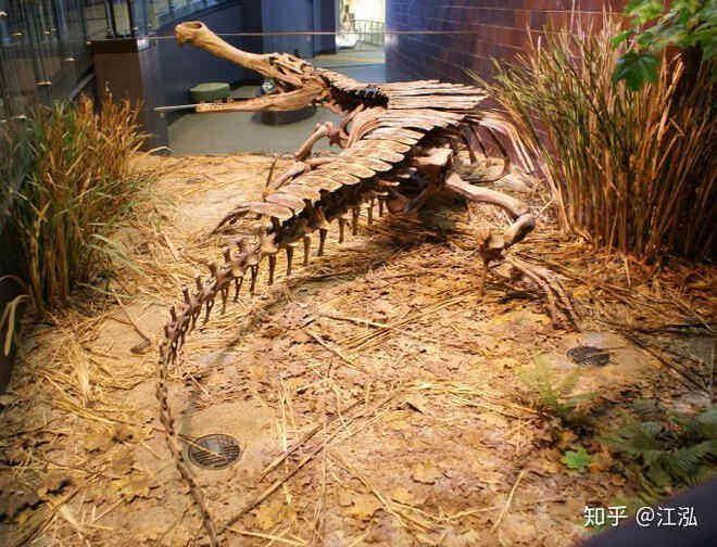 Cá sấu khổng lồ thời tiền sử sống ở Châu Phi có thể nuốt chửng khủng long - Ảnh 15.