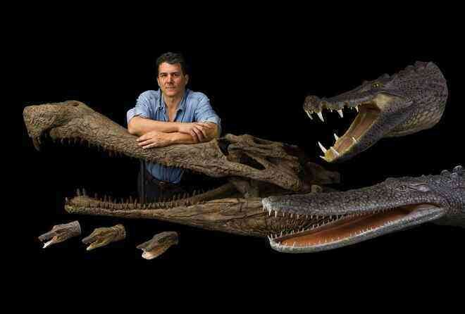 Cá sấu khổng lồ thời tiền sử sống ở Châu Phi có thể nuốt chửng khủng long - Ảnh 10.