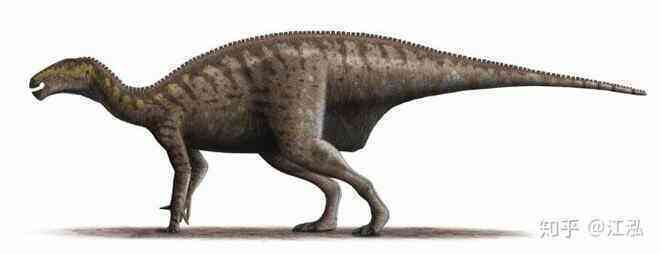 Loài khủng long ăn thịt có bướu kỳ lạ được tìm thấy ở Tây Ban Nha - Ảnh 11.