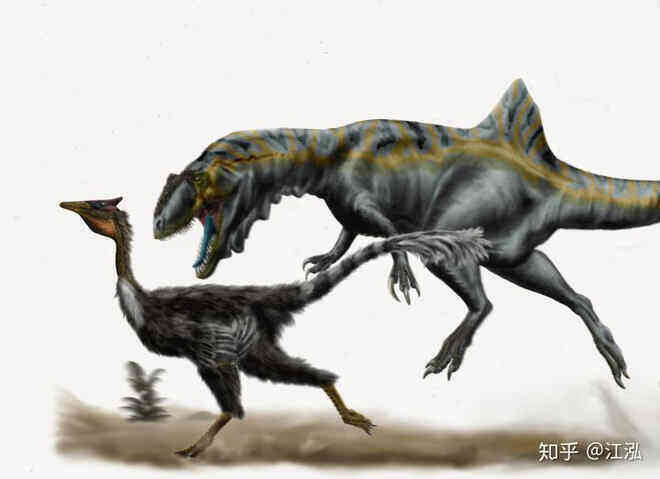 Loài khủng long ăn thịt có bướu kỳ lạ được tìm thấy ở Tây Ban Nha - Ảnh 12.