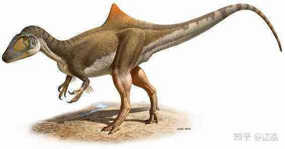 Loài khủng long ăn thịt có bướu kỳ lạ được tìm thấy ở Tây Ban Nha - Ảnh 8.