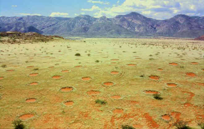 Bí ẩn về những "vòng tròn cổ tích" tại Namibia