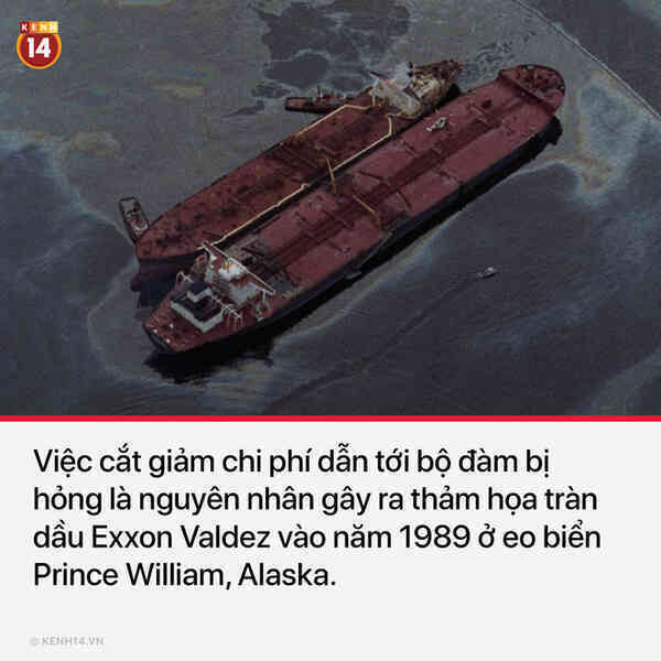 10 quyết định sai lầm chí mạng trong lịch sử khiến nhân loại tiếc ngẩn ngơ mà chẳng thể làm được gì - Ảnh 5. 10 quyết định sai lầm chí mạng trong lịch sử khiến nhân loại tiếc ngẩn ngơ mà chẳng thể làm được gì - Ảnh 5.