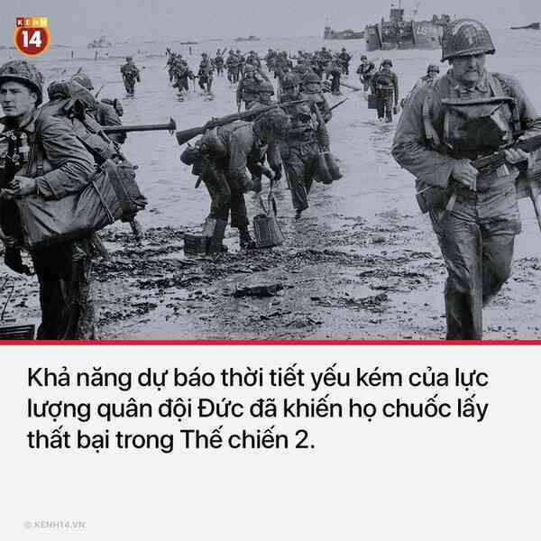 10 quyết định sai lầm chí mạng trong lịch sử khiến nhân loại tiếc ngẩn ngơ mà chẳng thể làm được gì - Ảnh 8. 10 quyết định sai lầm chí mạng trong lịch sử khiến nhân loại tiếc ngẩn ngơ mà chẳng thể làm được gì - Ảnh 8.