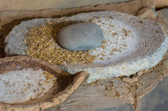 Thực phẩm siêu chế biến: "Bóng ma" của thời đại và vô vàn tác hại tới sức khỏe