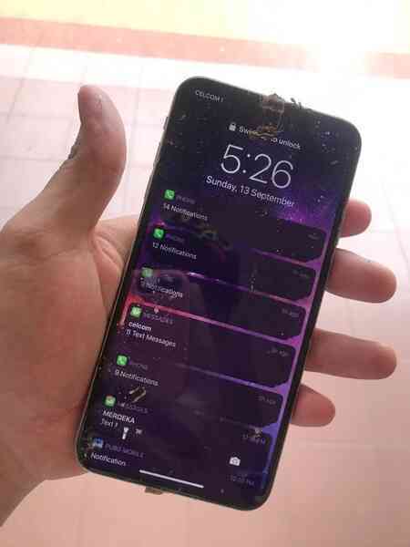 Khó tin chú khỉ ăn cắp iPhone, mang ra giữa rừng chụp selfie, quay phim