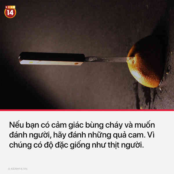 13 sự thật thú vị và kỳ quặc sẽ khiến mọi người phải thốt lên "Sao cậu lại biết cái thứ này??"
