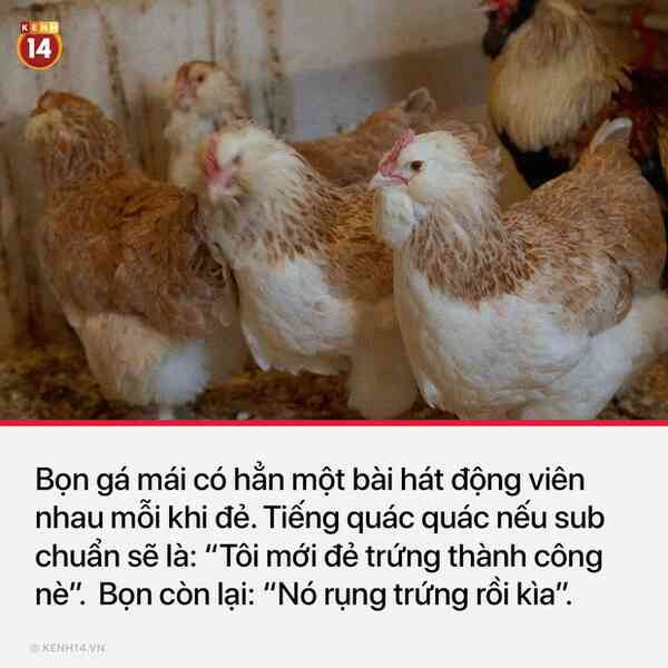 13 sự thật thú vị và kỳ quặc sẽ khiến mọi người phải thốt lên Sao cậu lại biết cái thứ này?? - Ảnh 2.