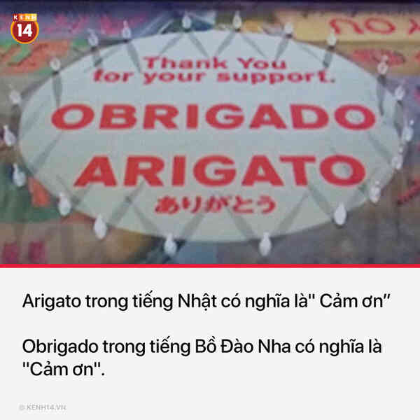 13 sự thật thú vị và kỳ quặc sẽ khiến mọi người phải thốt lên Sao cậu lại biết cái thứ này?? - Ảnh 13.