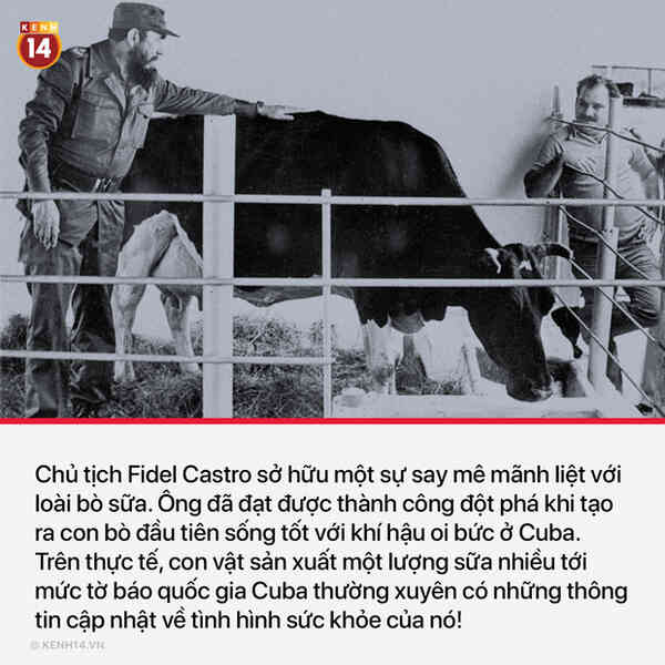 13 sự thật thú vị và kỳ quặc sẽ khiến mọi người phải thốt lên Sao cậu lại biết cái thứ này?? - Ảnh 3.