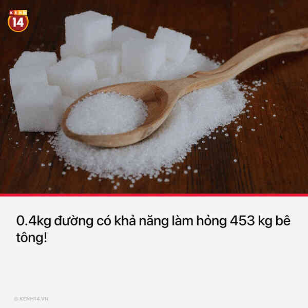13 sự thật thú vị và kỳ quặc sẽ khiến mọi người phải thốt lên Sao cậu lại biết cái thứ này?? - Ảnh 6.