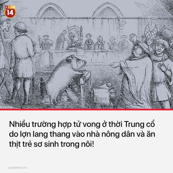 13 sự thật thú vị và kỳ quặc sẽ khiến mọi người phải thốt lên Sao cậu lại biết cái thứ này?? - Ảnh 8.
