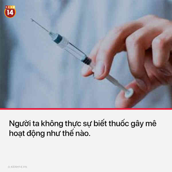 13 sự thật thú vị và kỳ quặc sẽ khiến mọi người phải thốt lên Sao cậu lại biết cái thứ này?? - Ảnh 10.