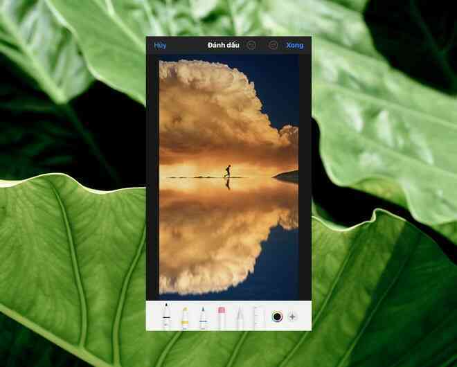 Cách sử dụng kính lúp trong chỉnh sửa ảnh để nhấn mạnh nội dung trên iPhone - Ảnh 5. Cách sử dụng kính lúp trong chỉnh sửa ảnh để nhấn mạnh nội dung trên iPhone - Ảnh 5.