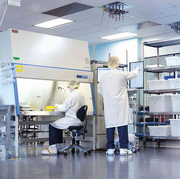 Đây là 5 tia hy vọng hiện hữu trong năm 2020 - giai đoạn đáng quên nhất nhì lịch sử cận đại - Ảnh 4. Đây là 5 tia hy vọng hiện hữu trong năm 2020 - giai đoạn đáng quên nhất nhì lịch sử cận đại - Ảnh 4.